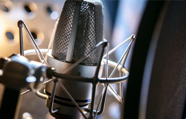 Crafting Brilliance with Voice: The Art of a Voiceover Artist